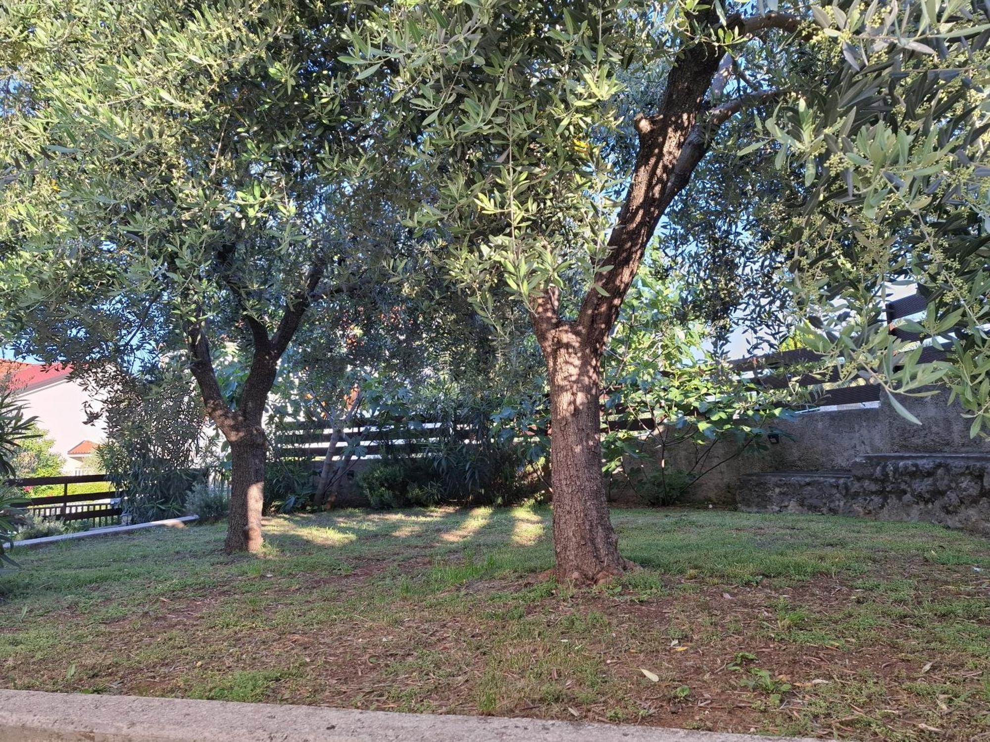 קרק Apartman Luma מראה חיצוני תמונה